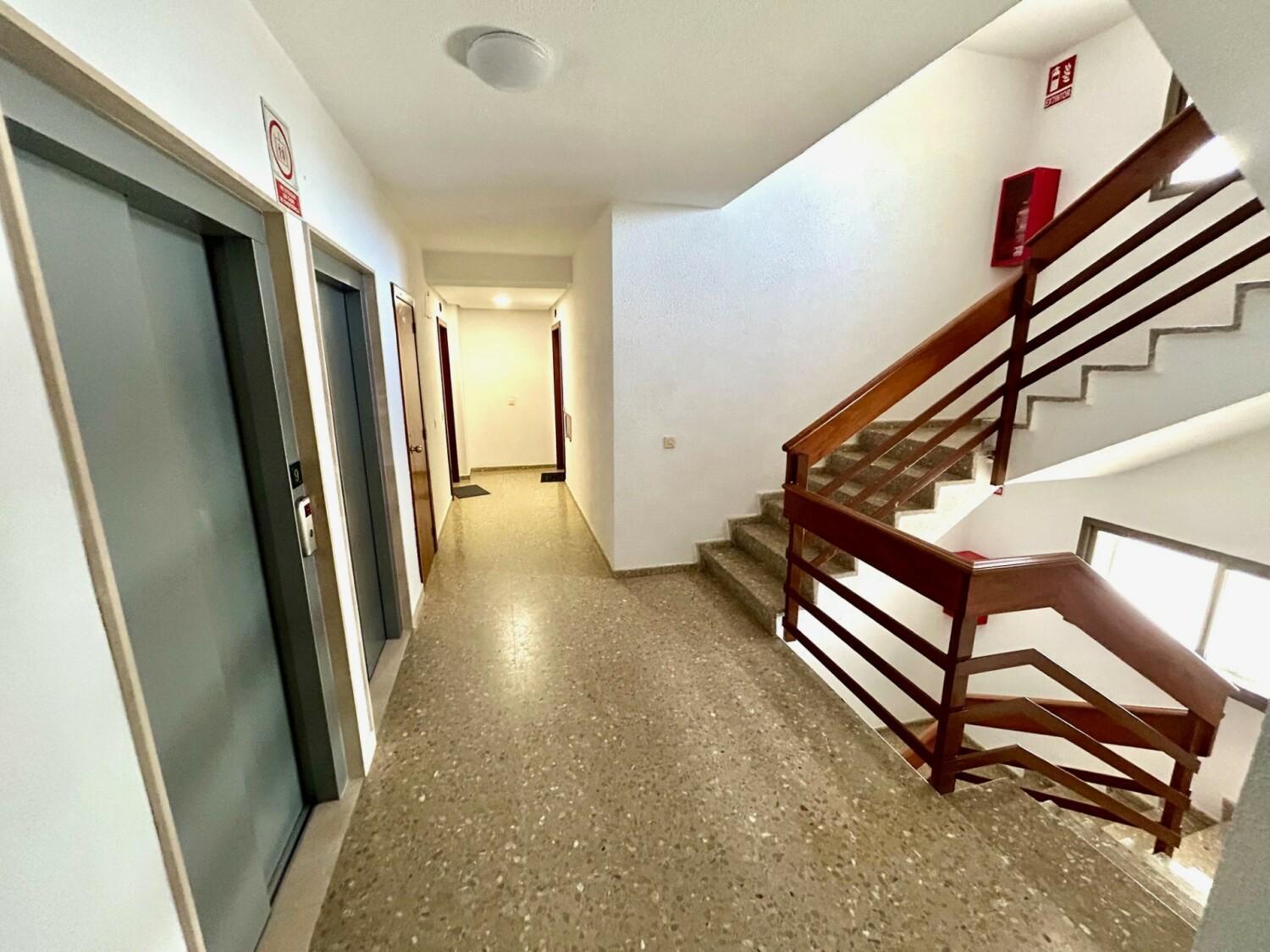 Gatu Arena " Preferente Mayores De 25 Anos Y Familias " El Puerto de Santa María Εξωτερικό φωτογραφία